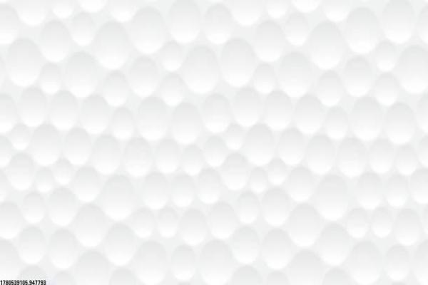 乐清九羊体育培训中心的课程与学员评价(图1)